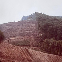 whatsapp image 2025 02 04 at.26.10