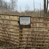 whatsapp image 2025 02 12 at.08.57