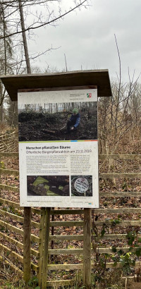 whatsapp image 2025 022 at5.10.51  