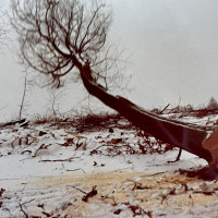 whatsapp image 2025 02 at.54.01