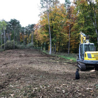 whatsapp image 2025 02 at.54.17