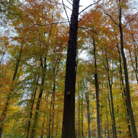 whatsapp image 2025 027 at7.55.37  