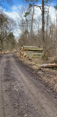 whatsapp image025 02 17 at 17.55.37  