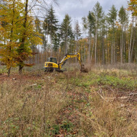 whatsapp image 2025 02 17 at 17.55.37  