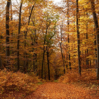 whatsapp image 2025 02 at.55.37