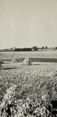 whatsapp image 2025 02 04 at8.26.09  