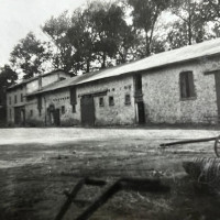 whatsapp image 2025 02 17 at 17.52.26  