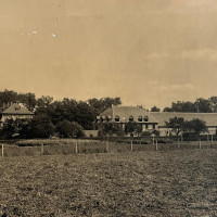 whatsapp image 2025 02 17 at 17.52.26  