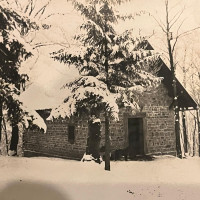 whatsapp image 2025 027 at8.01.19  