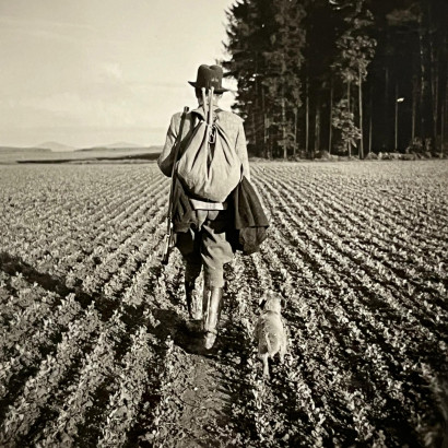 whatsapp image 2025 02 17 at.01.19