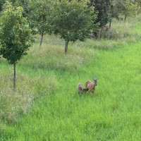 whatsapp image 2025 02 17 at.02.12