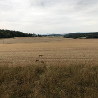 whatsapp image 2025 02 17 at.02.38