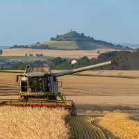 neucalbg gerste 2021