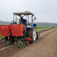 neucalenberg kartoffeln 2021