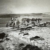 whatsapp image 2025 02 04 at.26.09