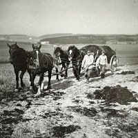 whatsapp image 2025 02 04 at8.26.11  