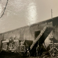 whatsapp image025 02 17 at 17.49.40  