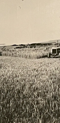 whatsapp image 2025 02 at.49.40