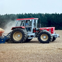 whatsapp image025 02 17 at 17.49.43  