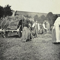 whatsapp image 2025 02 at.49.43