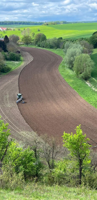 whatsapp image 2025 02 at.58.28