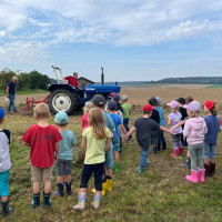 whatsapp image 2025 02 26 at.15.12