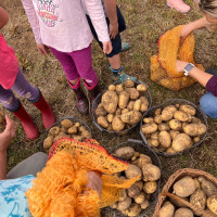 whatsapp image 2025 02 26 at.15.36