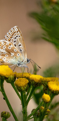 img cr2 dxo deepprime