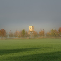 landschaft impression 2022